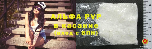 амф Пестово