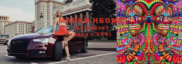 стафф Баксан
