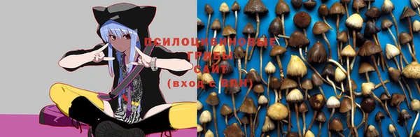 стафф Балахна