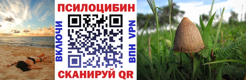 Псилоцибиновые грибы GOLDEN TEACHER  цена   Волчанск 